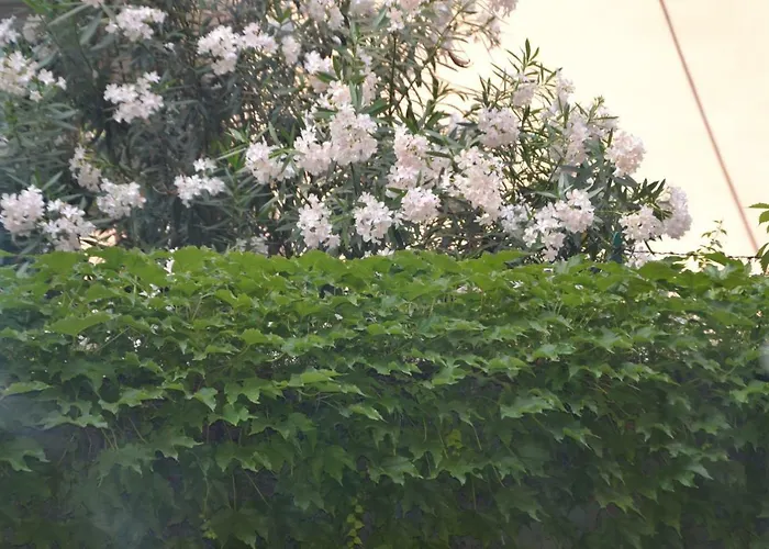 아파트 Casa Violante *