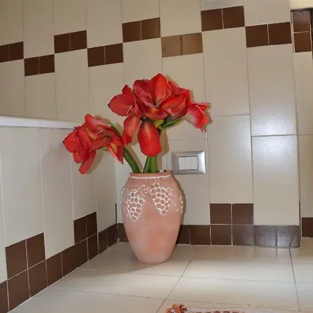 Casa Violante Apartment Verona