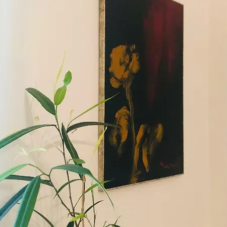 Casa Violante Verona